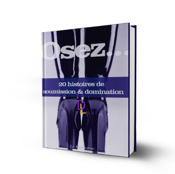 Osez 20 Histoires de Soumission et Domination